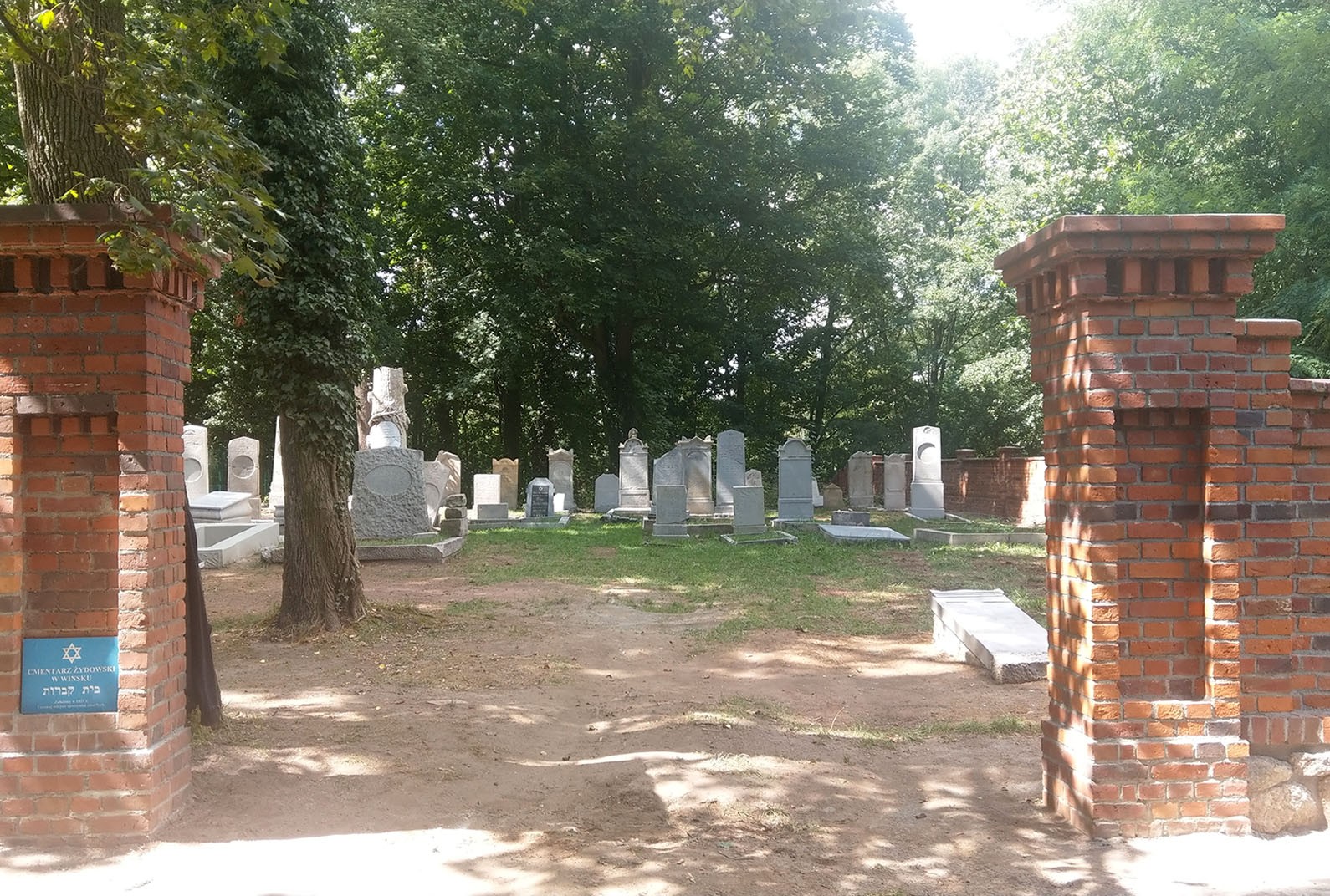 
RENOWACJA ZABYTKÓW 
Alta Sp. z o.o.
Galeria  Kontakt 
